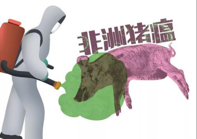 非瘟日常防控三要點(diǎn)：外防、內(nèi)控和提免