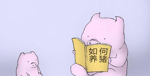 給豬用藥的幾大誤區(qū)！